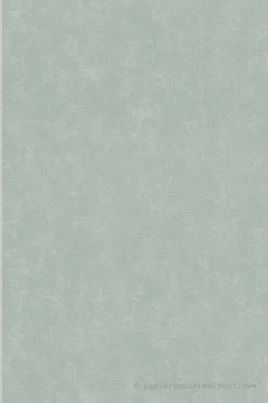 Papier peint expansé sur intissé Uni L.10.05 x l.0.53 m. - Réf. AS-393394