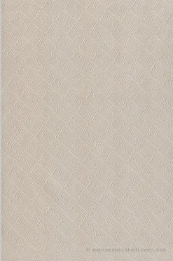 Papier peint expansé sur intissé Classique L.10.05 x l.0.53 m. - Réf. LTC-51197327