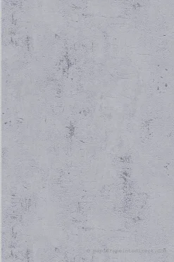 Papier peint expansé sur intissé Trompe l'oeil L.10.05 x l.0.53 m. - Réf. SP15550