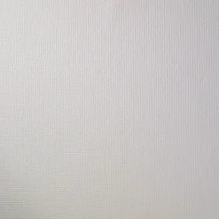 Papier peint expansé vinyle sur intissé Palmeri GoodHome blanc
