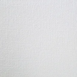 Papier peint expansé vinyle sur intissé Palmeri GoodHome blanc