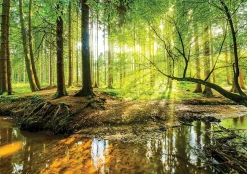 Papier Peint Forêt Arbres Vert Nature Intissé Panoramique 350x250 cm - Colle Inclus - Chambre et Salon - Moderne Papier Peint