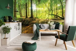 Papier Peint Forêt Arbres Vert Nature Intissé Panoramique 350x250 cm - Colle Inclus - Chambre et Salon - Moderne Papier Peint