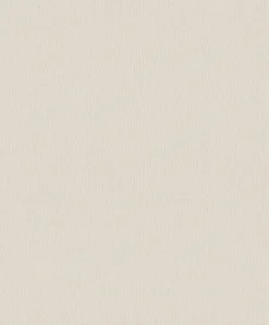 Papier peint grainé sur intissé uni beige L.1001 x l.53cm