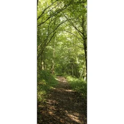 Papier peint intissé 250 cm X 96 cm, Forêt, Chemin, Promenade Panoramique - Photo Nature pour Décoration Murale