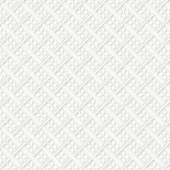 Papier peint intissé à peindre imprimé géométrique en relief blanc L.1000 x l.52 cm Laura Ashley Mr.Jones