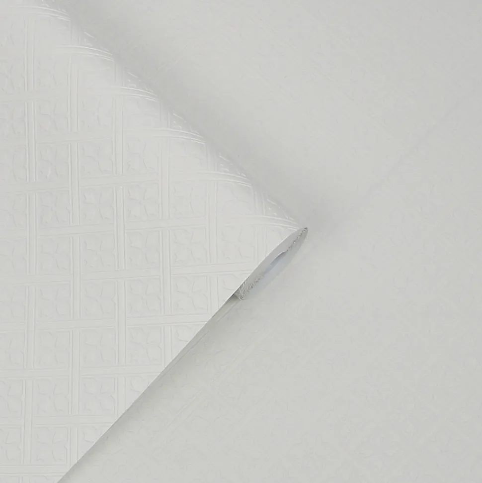 Papier peint intissé à peindre imprimé géométrique en relief blanc L.1000 x l.52 cm Laura Ashley Mr.Jones