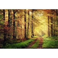 Papier peint intissé AUTOMNAL forêt orangée 400 x 270 cm (LxH) - Tapisserie murale panoramique XXL, Made in France par Scenolia