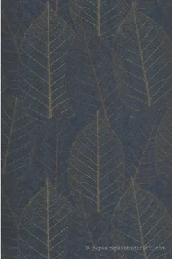 Papier peint intissé Ecodeco : sans PVC, durable et résistant Nature L.10.05 x l.0.53 m. - Réf. MC-HE27252