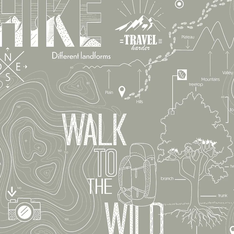 Papier peint intissé Les aventures Walk to the wild gris L.1005 x l.53cm Lutèce