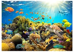 Papier peint intissé panoramique paysage underwater land 350x245 cm