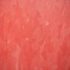 Papier peint intissé pré-encollé fresques géantes - ARCHE ARC-EN-CIEL - 100x60cm