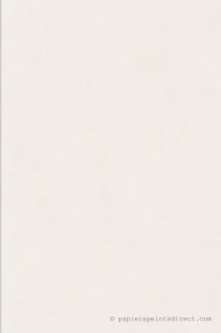 Papier peint intissé Uni L.10.05 x l.0.53 m. - Réf. LTC-36200917