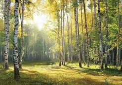Papier Peint Intissé Panoramique Pour Chambre Cuisine 3D Forêt Vert 400x280