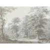 Papier peint panoramique XXL Forêt Bucolique 400 x 280cm Gris vert