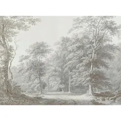 Papier peint panoramique XXL Forêt Bucolique 400 x 280cm Gris vert