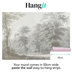 Papier peint panoramique XXL Forêt Bucolique 400 x 280cm Gris vert