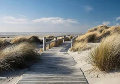 Papier Peint Panoramique Intissé Plage Mer Beige - 400x280 cm - Papier Peint Chambre et salon