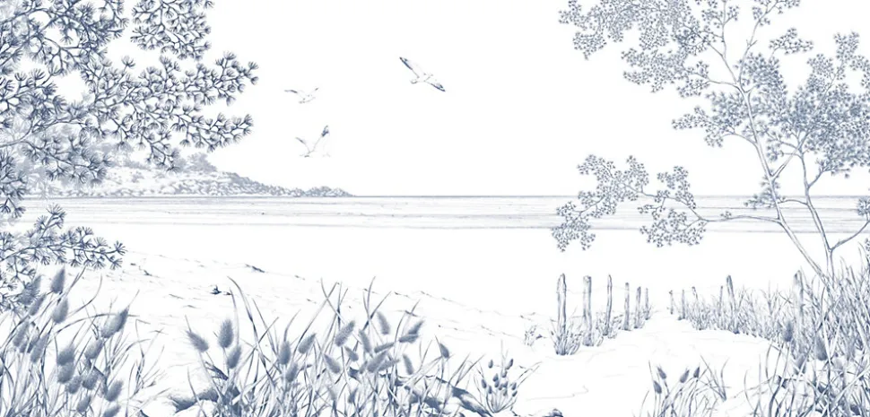 Papier peint panoramique Côtes Sauvages, Bleu 300 x 250cm