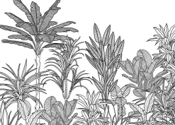 Papier peint panoramique Komar Savanna L.3.5 m x l.250 cm
