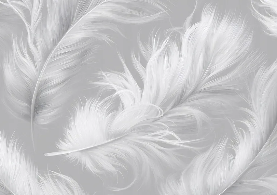 Papier Peint Panoramique Intissé Plumes Abstrait Gris - 350x250 cm - Papier Peint Chambre et salon