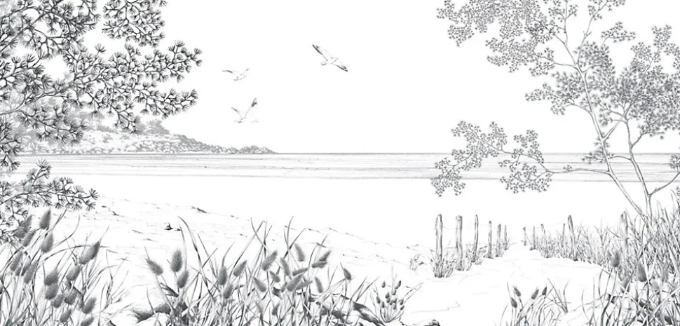 Papier peint panoramique Côtes Sauvages, Noir et blanc 525 x 250cm