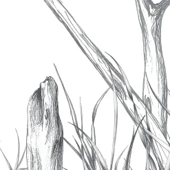 Papier peint panoramique Côtes Sauvages, Noir et blanc 525 x 250cm