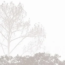 Papier peint panoramique Brumes matinales, Beige 300 x 250cm