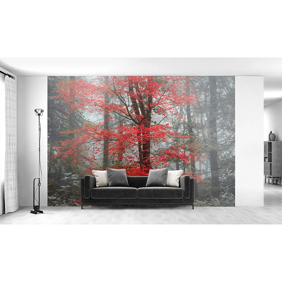 Papier peint panoramique intissé forêt arbre feuille rouge sur fond gris, 8 lés, L.280 x l.400cm IDPanneaux
