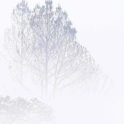Papier peint panoramique Brumes matinales, Bleu 150 x 250cm
