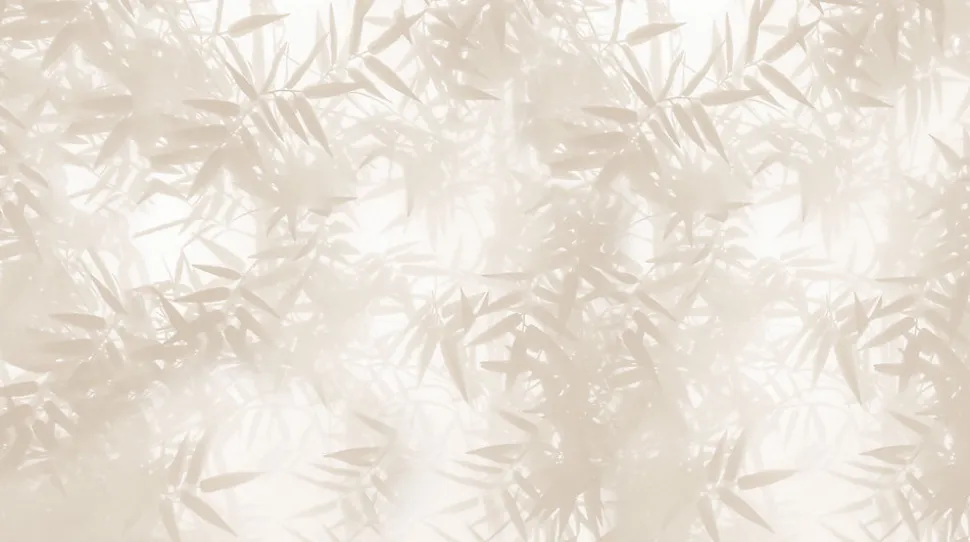 Papier peint panoramique Ombres bambous, Beige 150 x 250cm