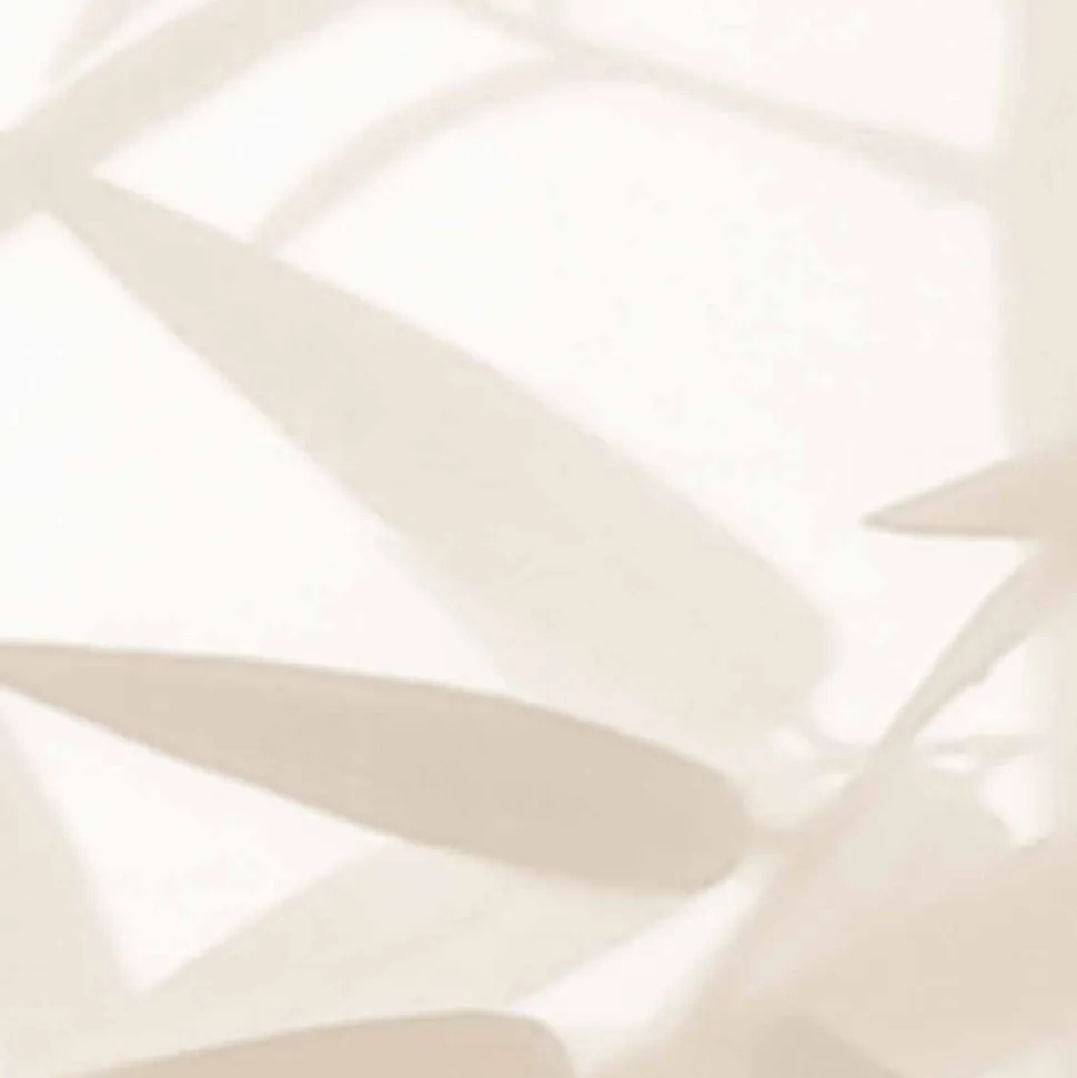 Papier peint panoramique Ombres bambous, Beige 150 x 250cm