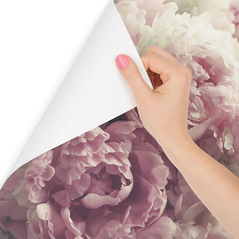 Papier Peint Photo Intissé FLEURS Pivoines Roses Pour La Chambre 450cm x 300cm
