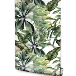 Papier Peint Pour La Chambre FEUILLES Monstera Plantes Exotiques