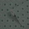 Papier peint Vinyle Intissé GoodHome Draba vert et noir