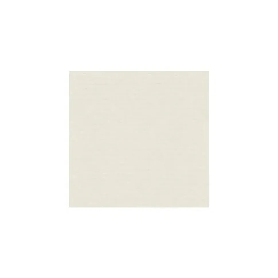 Papier peint vinyle intissé uni beige ivoire mat L.1005 x l. 53 cm As Creation Antigua
