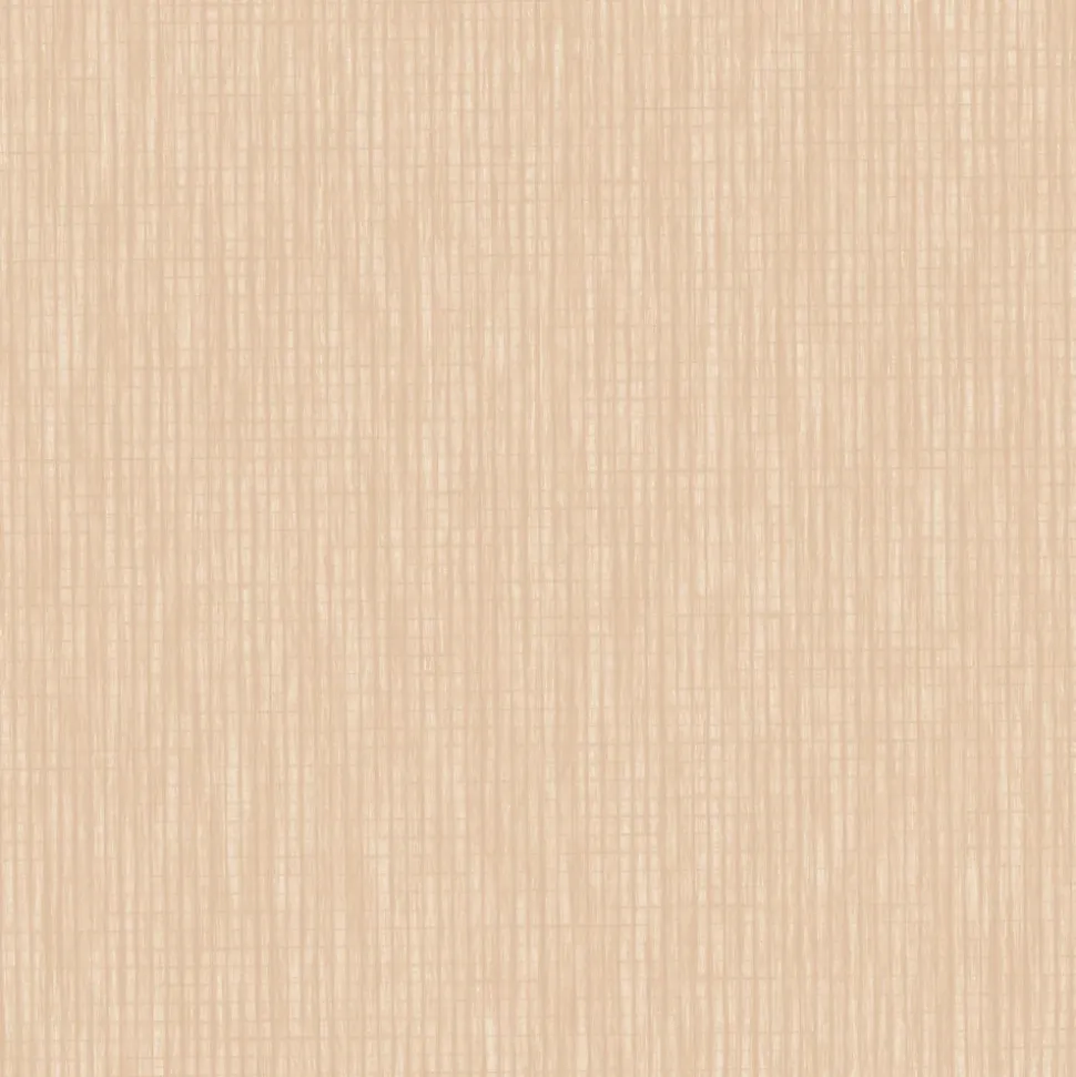 Papier peint vinyle intissé uni Latte orange L.1005 x l.53cm Lutèce