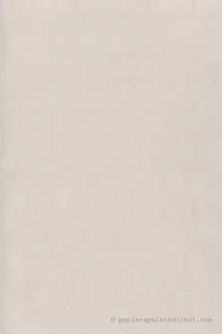 Papier peint vinyle sur intissé Uni L.10.05 x l.0.53 m. - Réf. LTC-51201206