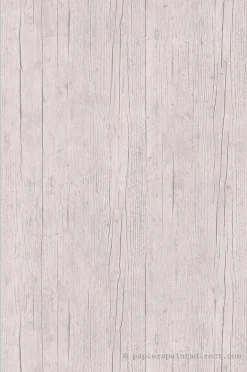 Papier peint vinyle sur intissé Trompe l'oeil L.10.05 x l.0.53 m. - Réf. LTC-51181306