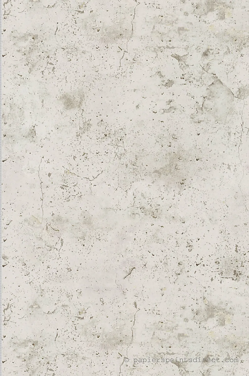 Papier peint vinyle sur intissé Trompe l'oeil L.10.05 x l.0.53 m. - Réf. SP15306