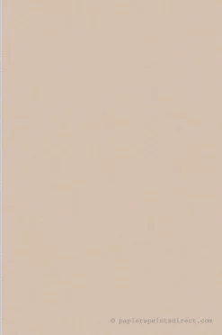 Papier peint vinyle sur intissé Uni L.10.05 x l.0.53 m. - Réf. SP15913