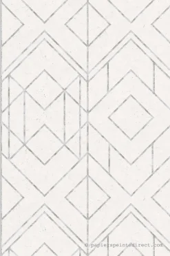 Papier peint vinyle sur intissé Géométrique L.10.05 x l.0.53 m. - Réf. SP15528