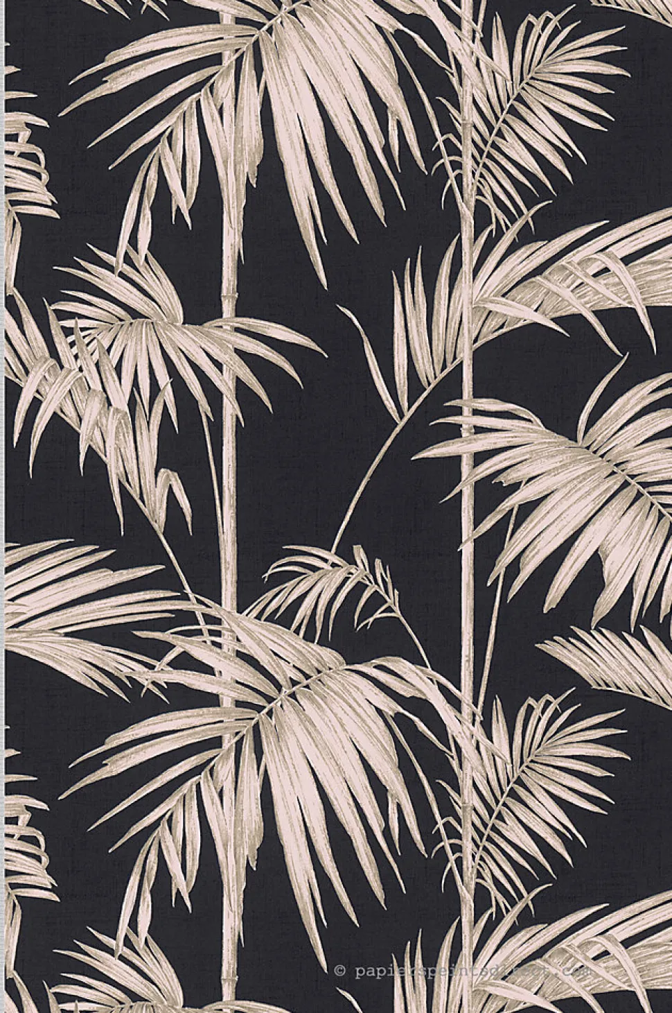 Papier peint vinyle sur intissé Jungle L.10.05 x l.0.53 m. - Réf. SP14656