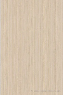 Papier peint vinyle sur intissé Uni L.10.05 x l.0.53 m. - Réf. AS-388196