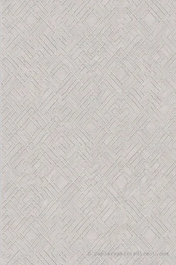 Papier peint vinyle sur intissé Contemporain L.10.05 x l.0.53 m. - Réf. AS-388284