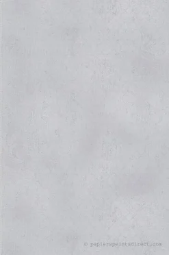 Papier peint vinyle sur intissé Classique L.10.05 x l.0.53 m. - Réf. AS-786721