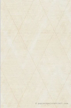 Papier peint vinyle sur intissé Géométrique L.10.05 x l.0.53 m. - Réf. AS-388244