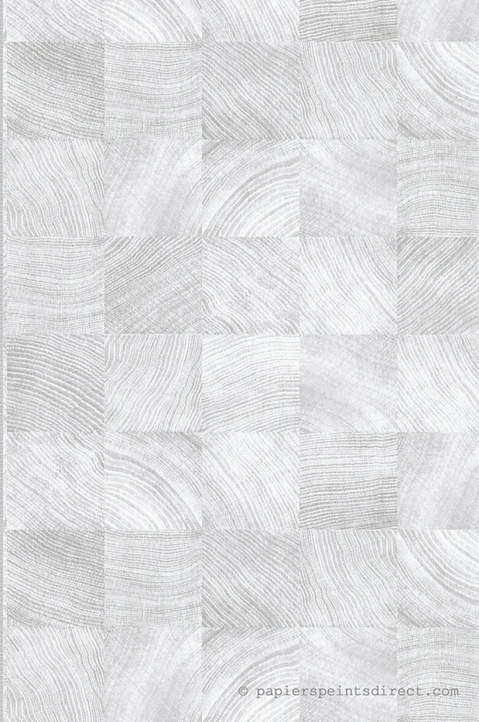 Papier peint vinyle sur intissé pré-encollé Trompe l'oeil L.10.05 x l.0.53 m. - Réf. LTC-51252009