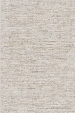 Papier peint vinyle sur intissé Uni L.10.05 x l.0.53 m. - Réf. SP15475