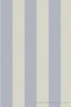 Papier peint vinyle sur intissé Classique L.10.05 x l.0.53 m. - Réf. MC-37849-3